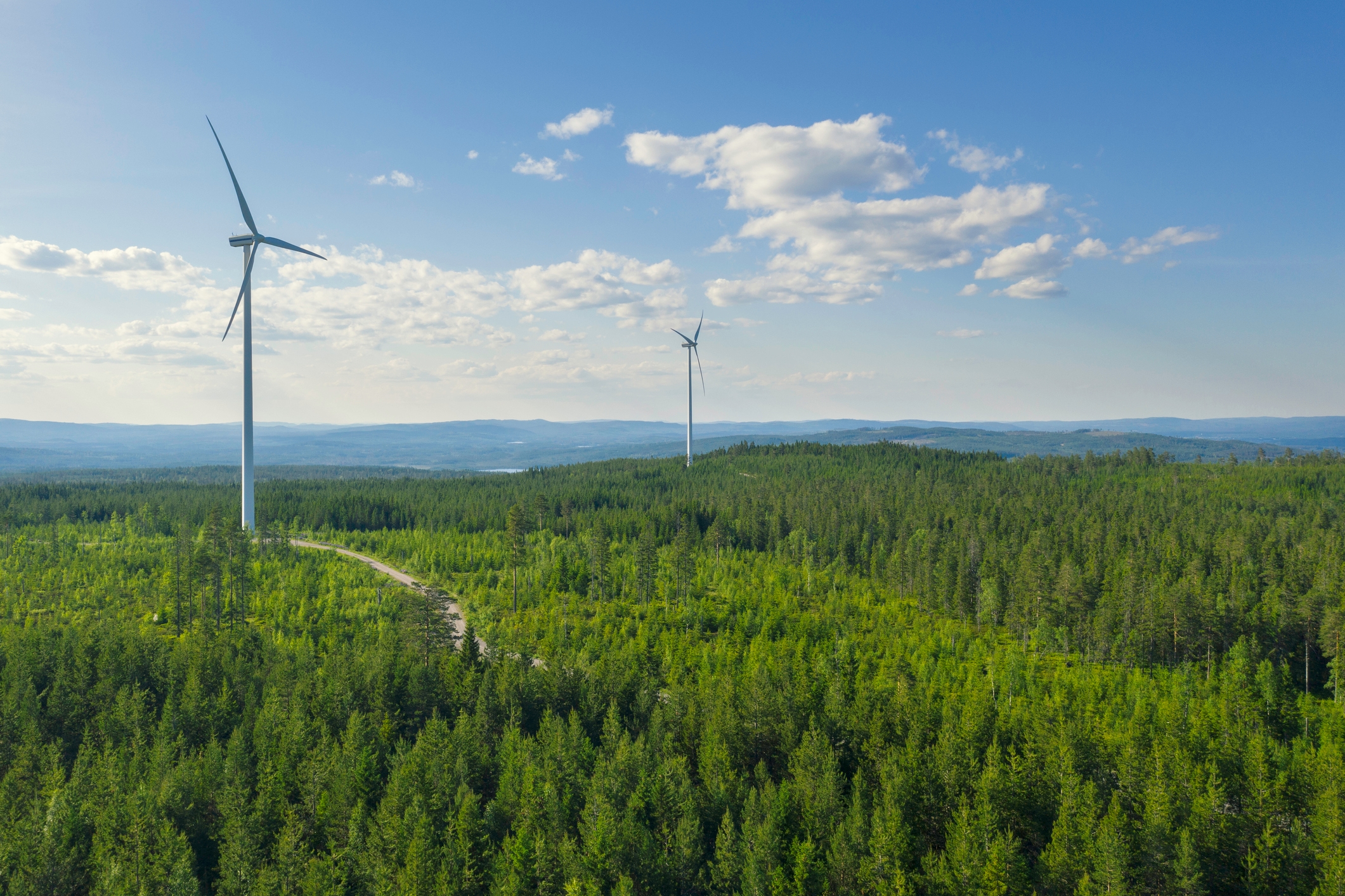 Summer landscape with wind mills